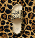 Panterka / 36/37