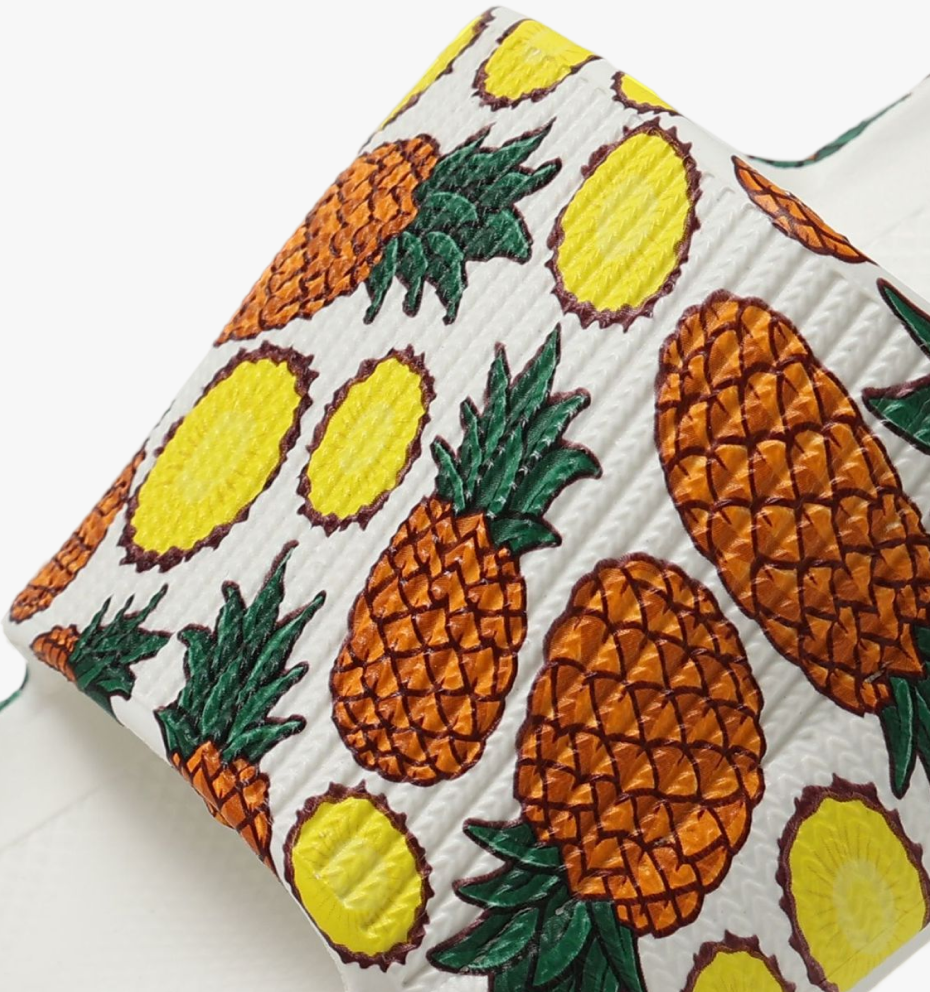 Ananas / 36/37